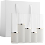 Alexandria Five-section Acrylic Silver Flower Vase